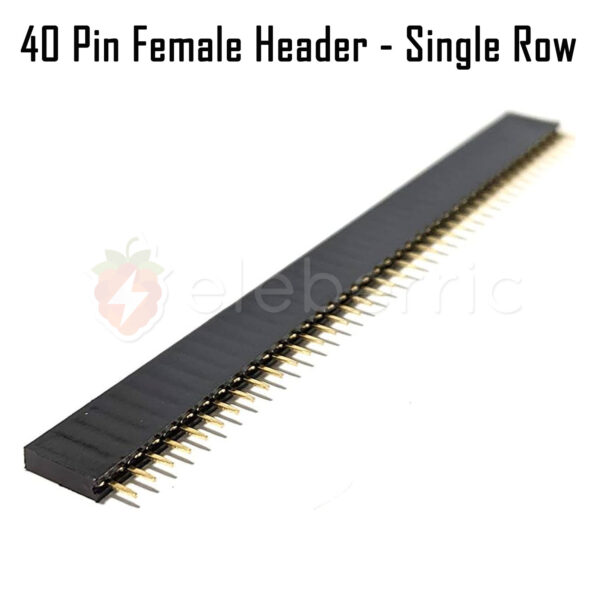 40 Pin Female Header Single Row - Image 2