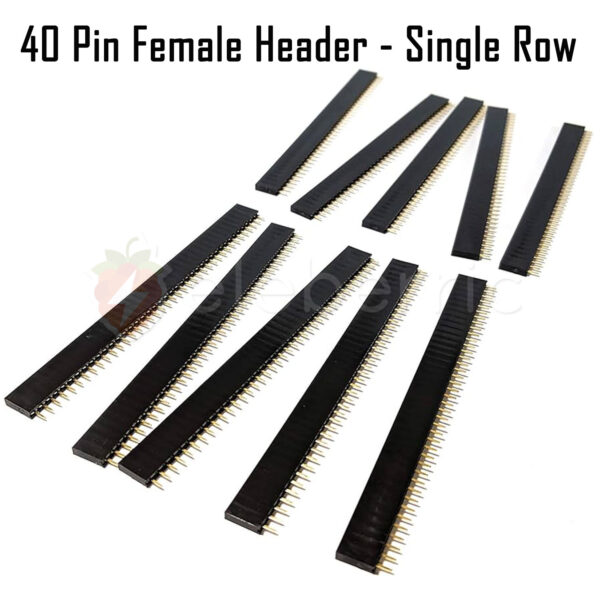 40 Pin Female Header Single Row - Image 4
