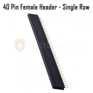 40 Pins Female Header