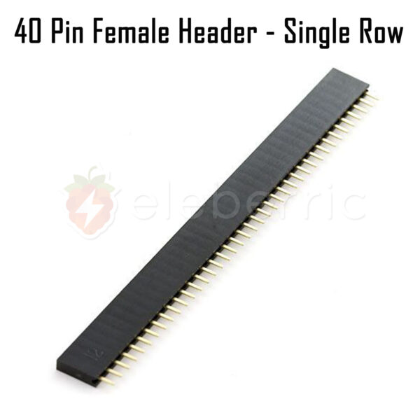 40 Pin Female Header Single Row - Image 3