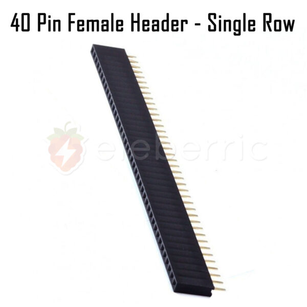 40 Pins Female Header